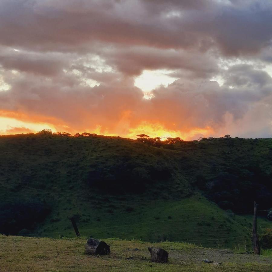 Cattleya Sunset. Lugar Ideal Para Despejarse. Monteverde Zewnętrze zdjęcie